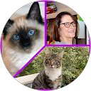 Marie Line FOUCOURT profile picture